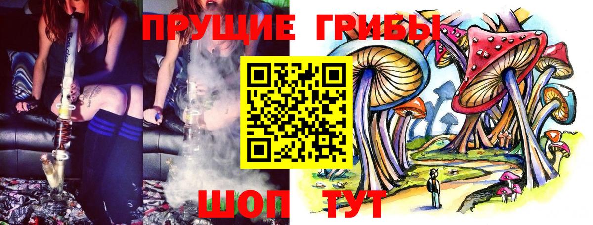 Псилоцибиновые грибы GOLDEN TEACHER Салехард