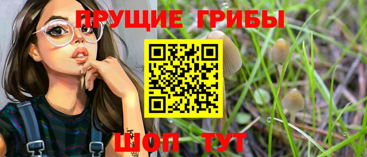 Псилоцибиновые грибы Cubensis  Вход с VPN  Салехард 